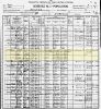 1900 US Census - Robertson Co